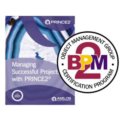 Bootcamp: Chef de projet transformation des processus métier