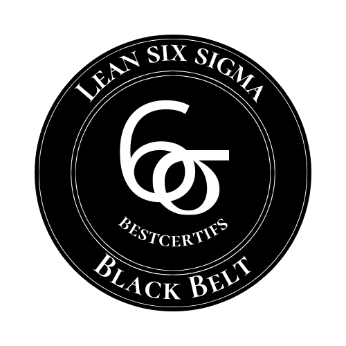 Lean six sigma black belt
